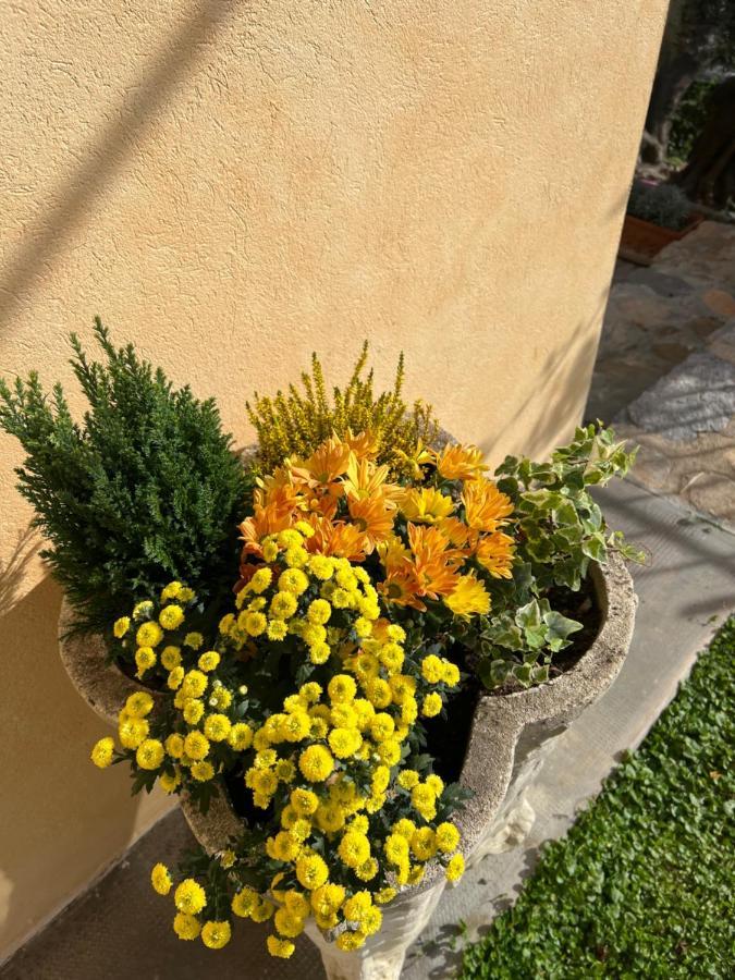 Arnasco Agriturismo Le Merline מראה חיצוני תמונה